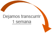 Dejamos transcurrir 1 Semana