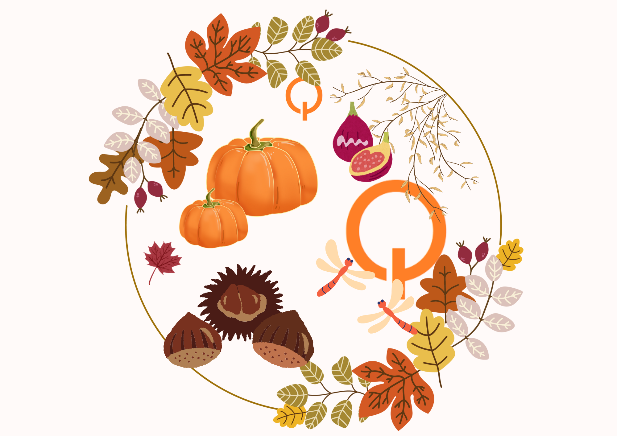 Otoño: tradición, sabores y nuevos comienzos